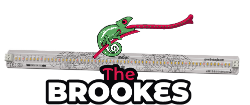 product-the-brookes