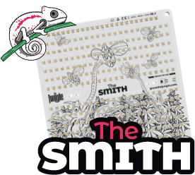 product-the-smith